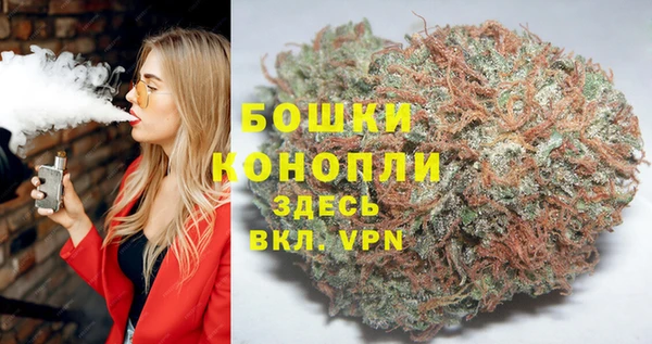 MESCALINE Покачи