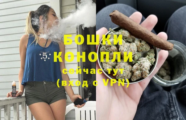 амф Пестово