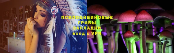 прущая мука Переславль-Залесский