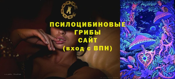 прущая мука Переславль-Залесский