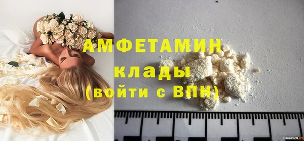 амф Пестово