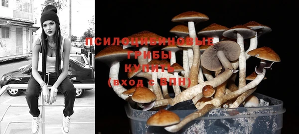 герыч Абаза