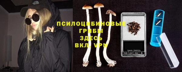 твердый Великий Новгород