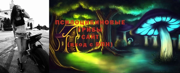 амф Пестово
