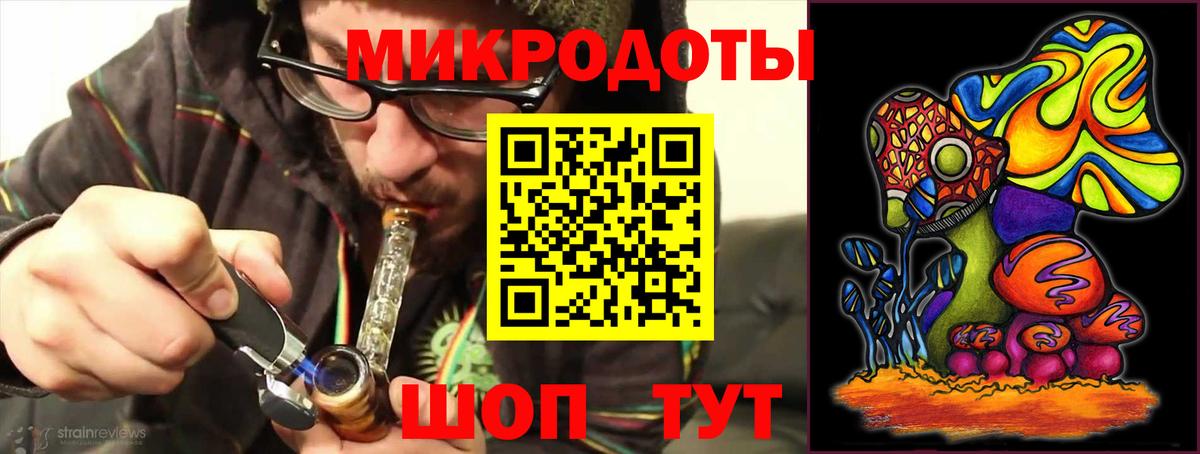 Псилоцибиновые грибы Cubensis  как найти   Великие Луки 