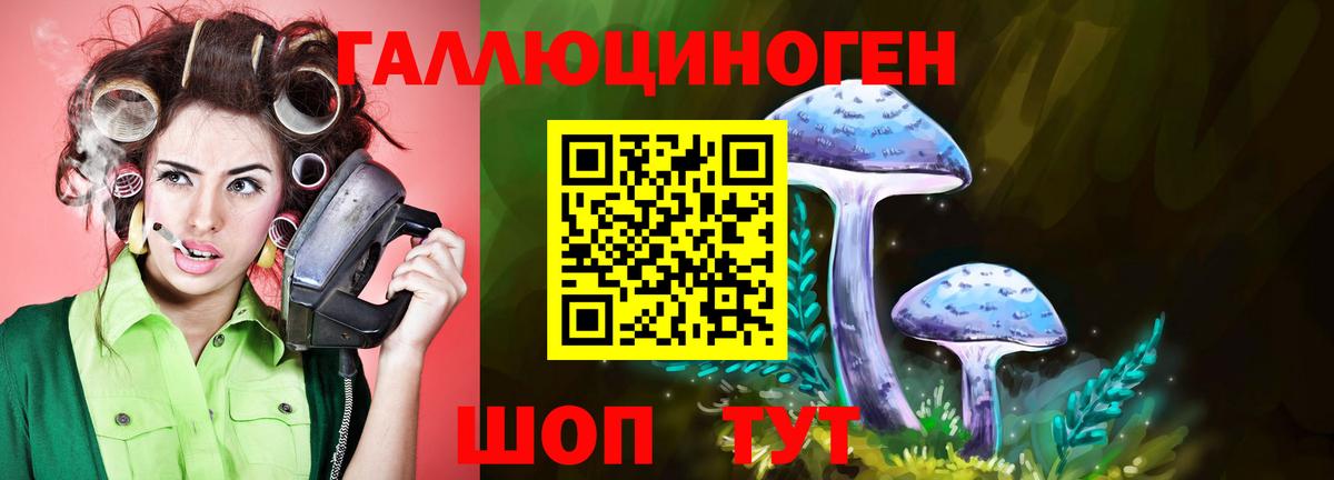 Псилоцибиновые грибы мухоморы Великие Луки